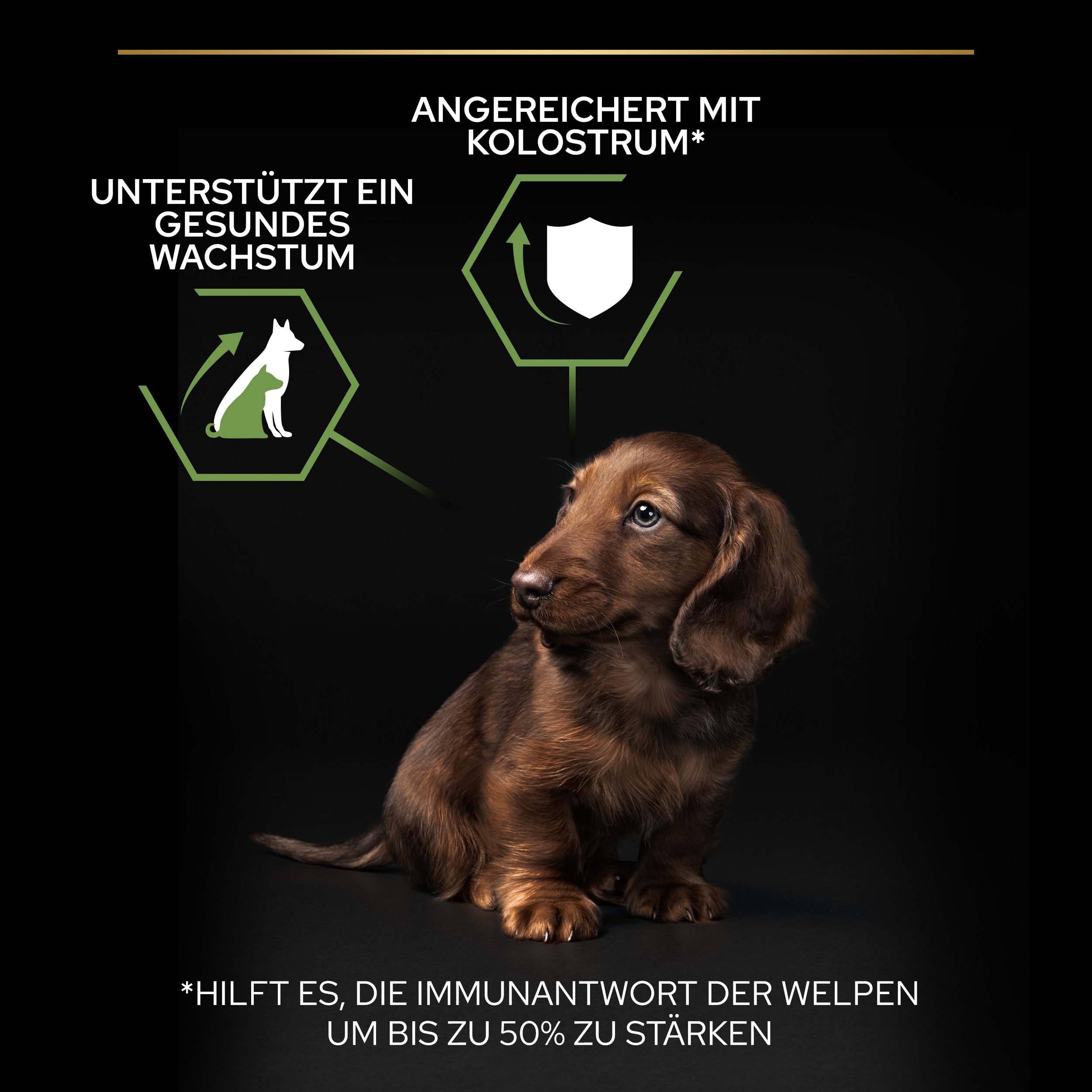 B00Y9SU19O.pt02 Puppy Healthy Start Trockenfutter - Vorteile