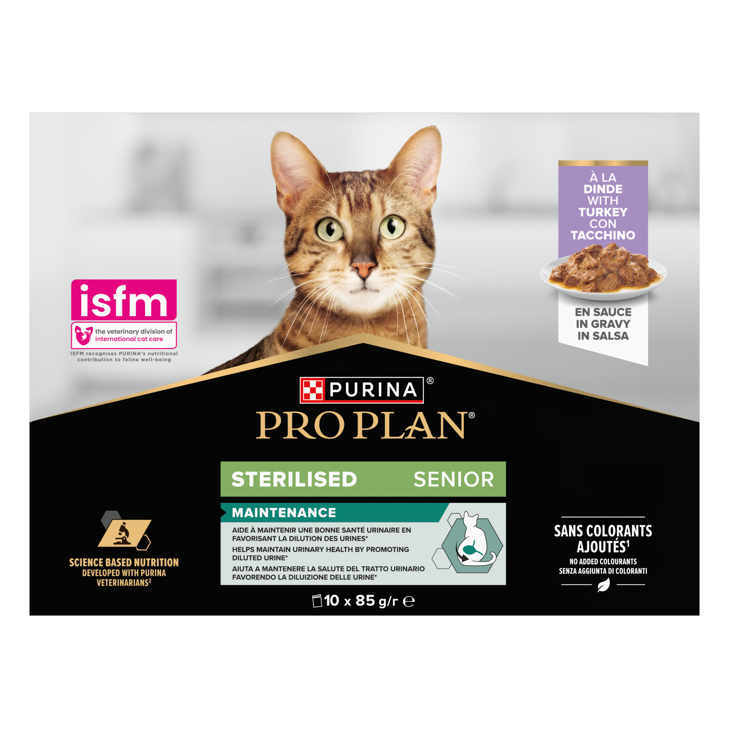 Werbung, Plakat, Teller, Katze, Haustier