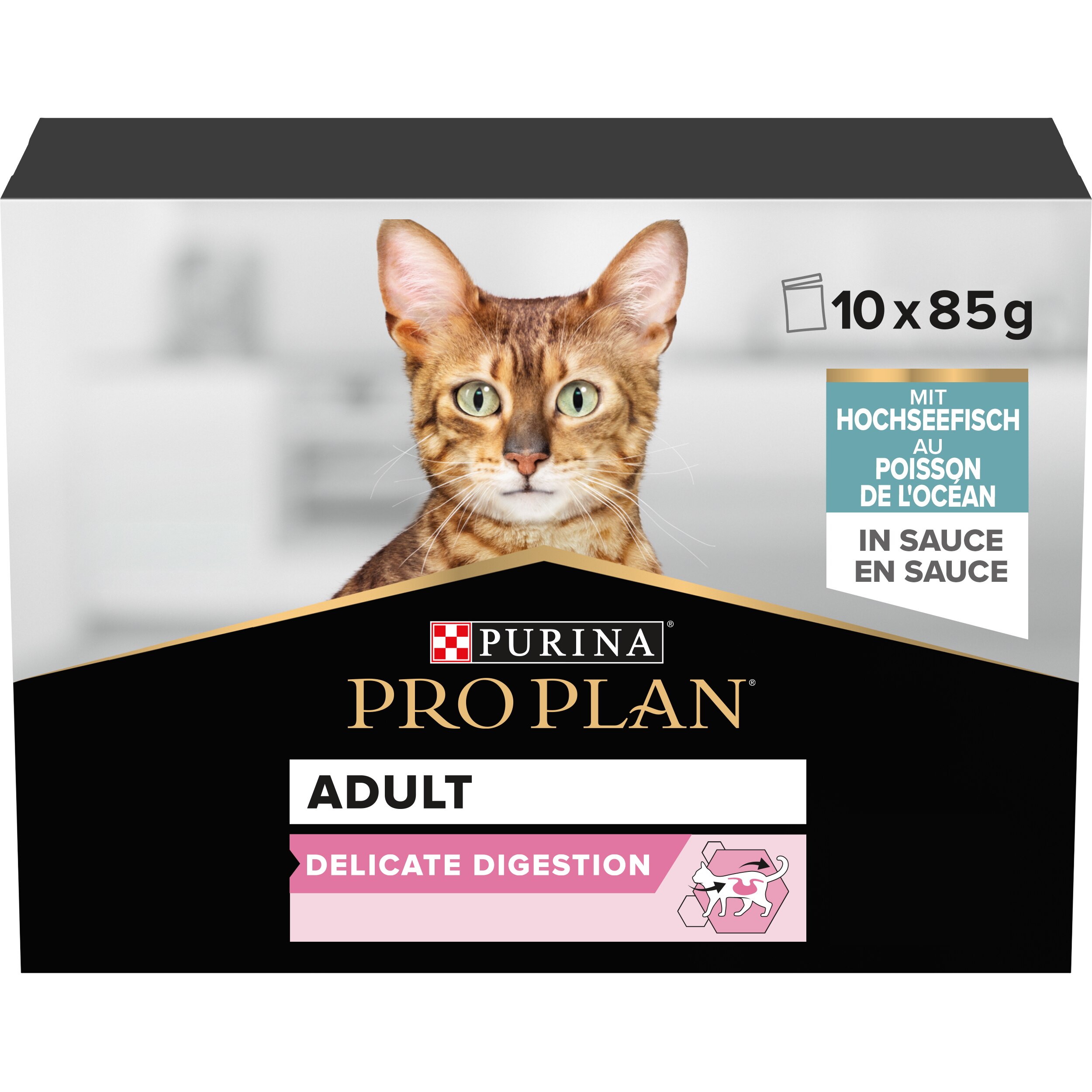 Werbung, Plakat, Katze, Säugetier, Haustier