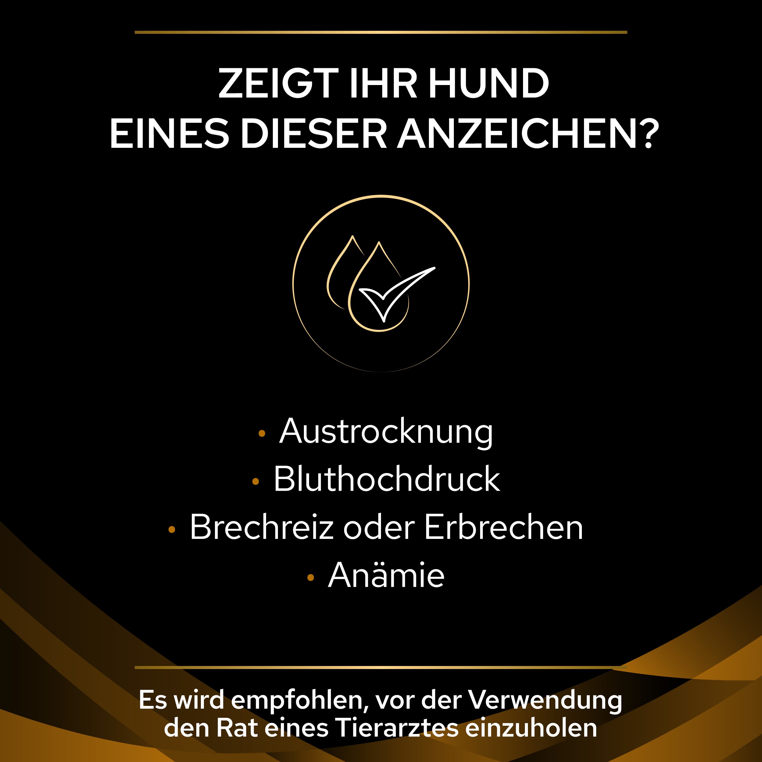 PUPPVDDDPPVNF22D1LDE_1665112290355 Symptome für Nierenprobleme bei Hunden