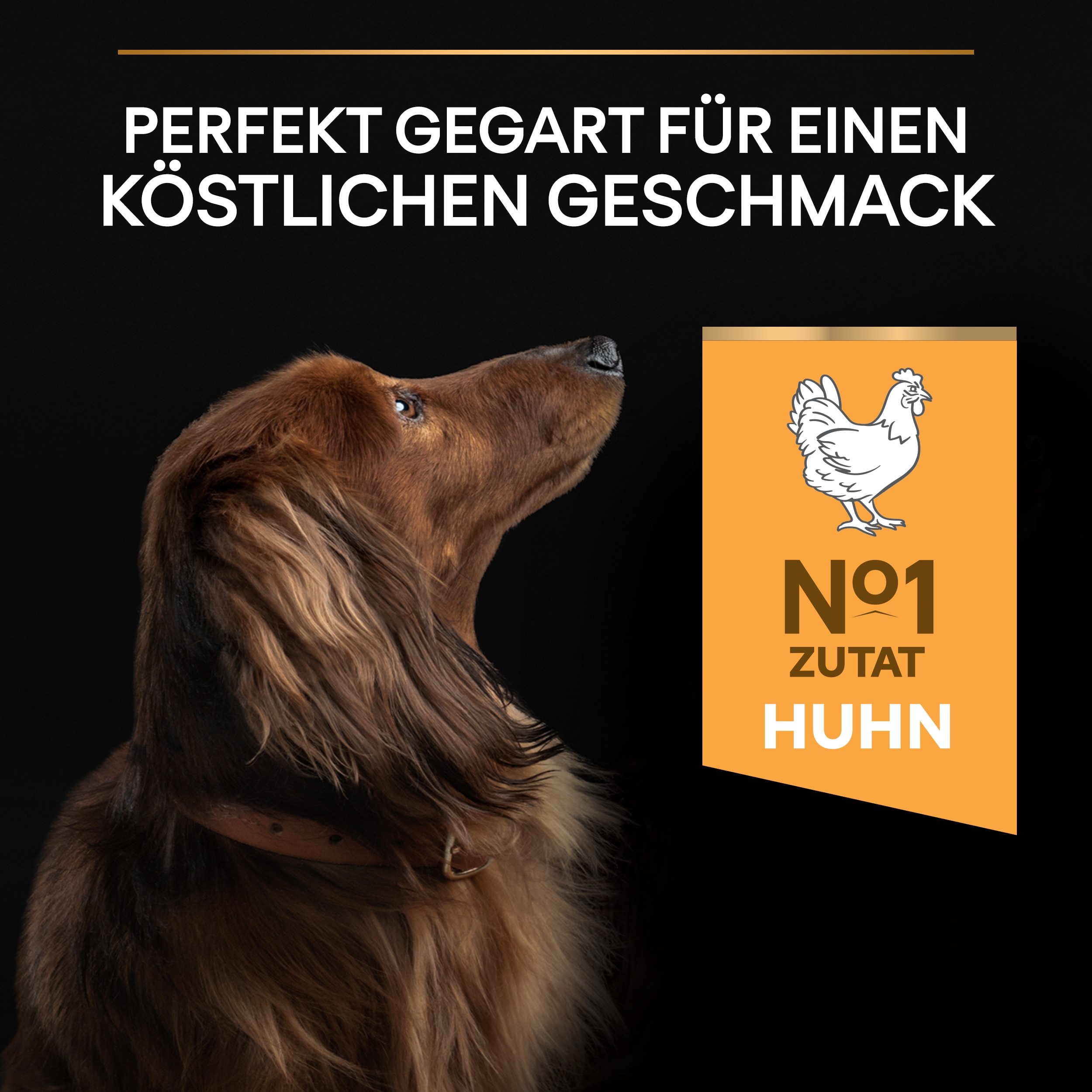 B00Y9SU0EA.pt03 Small/Mini Everyday Nutrition Huhn