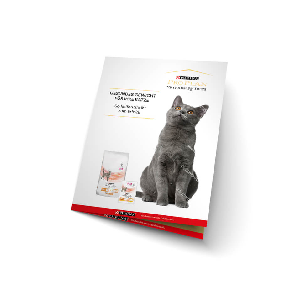 12937651-9654889215519302 OM Obesity Management Katzenfutter - Gesundheitspaket - Prospekt