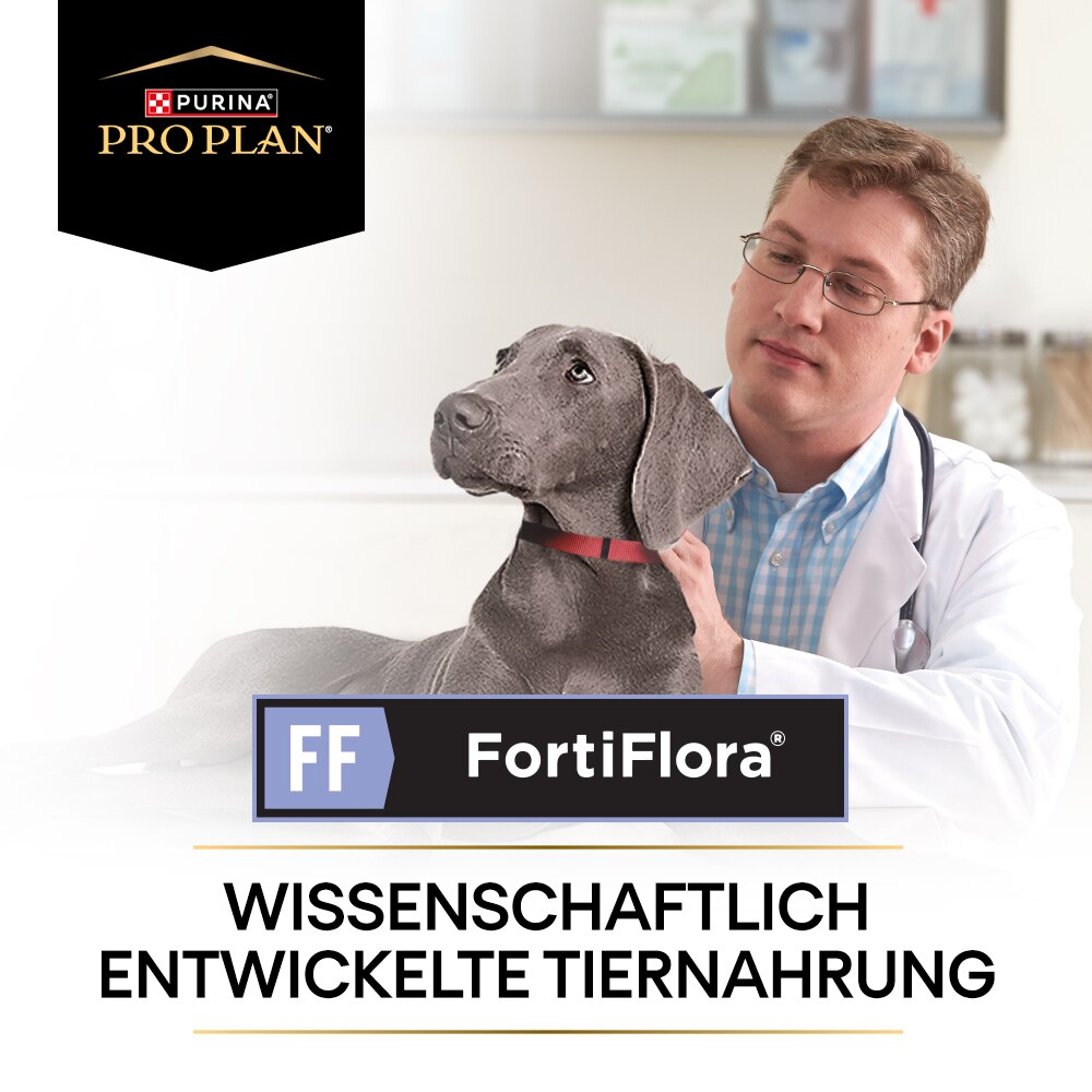 FortiFlora, Ergänzungsfuttermittel für Hunde zur Unterstützung der Darmgesundheit 30 x 1g