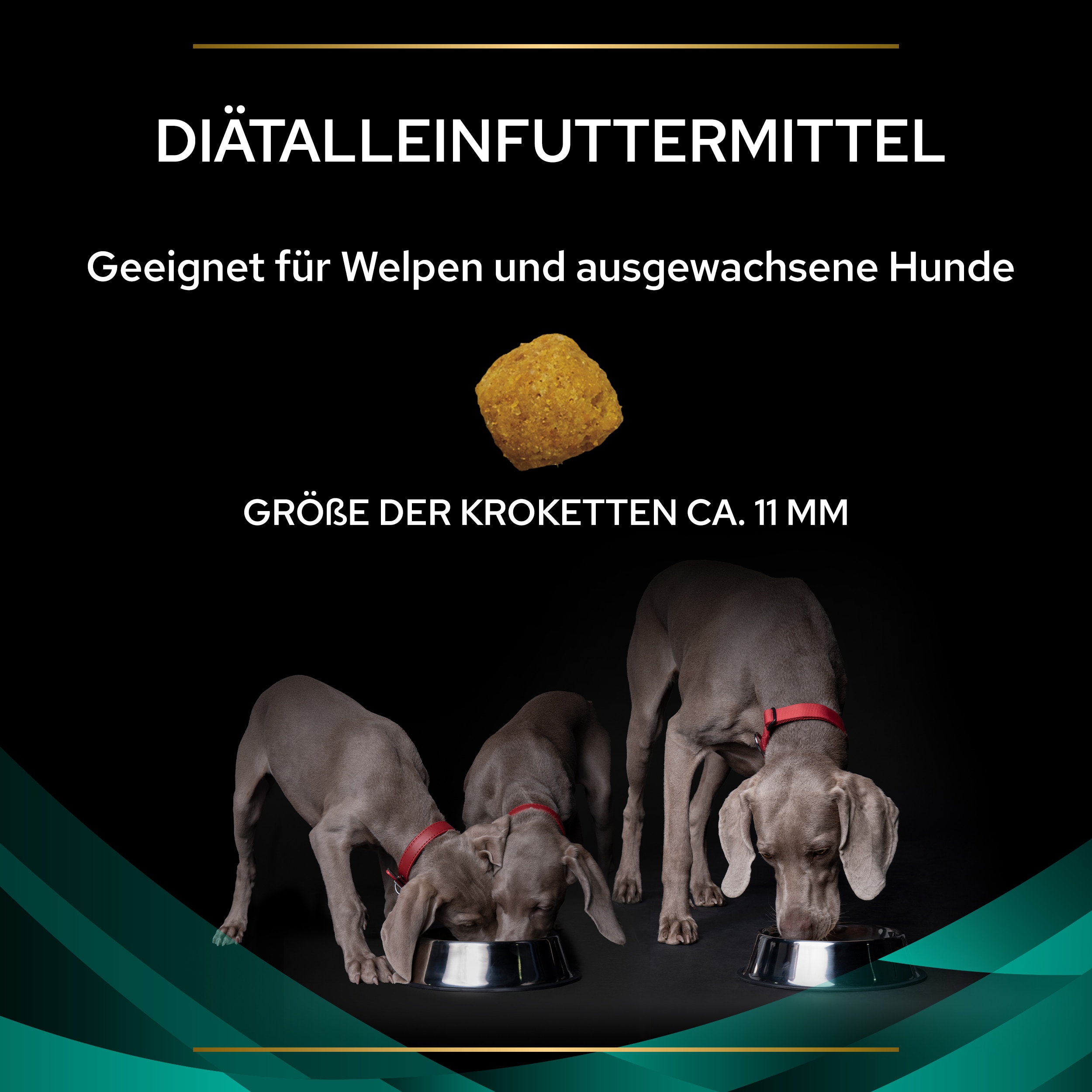 PUPPVDDDPPVEN22Ksiz1LES_1665127468906 EN Gastrointestinal  Größe der Kroketten ca 11mm