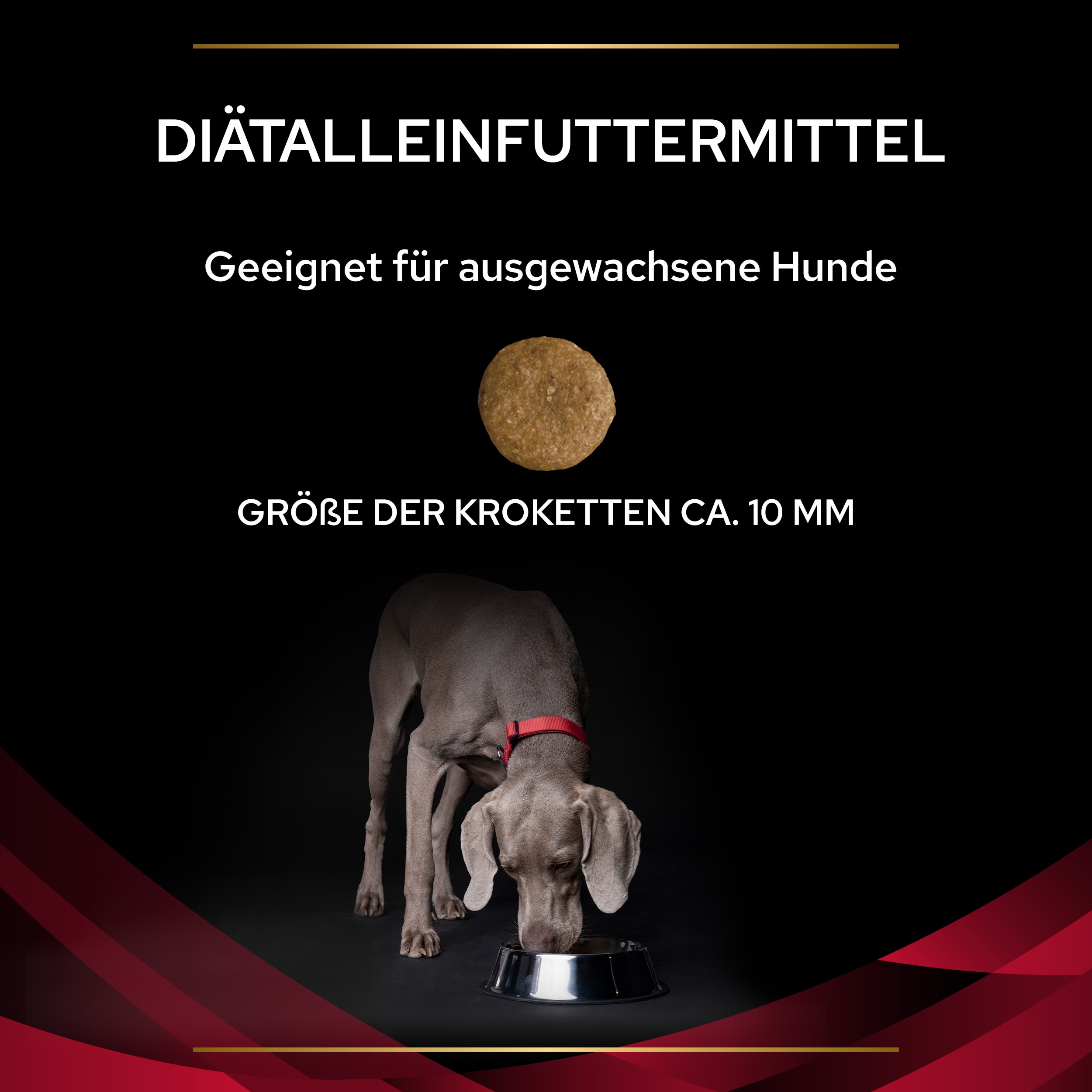 PUPPVDDDPPVCC22Ksiz1LES_1665127468906 Cardiocare Diätalleinfuttermittel für ausgewachsene Hunde