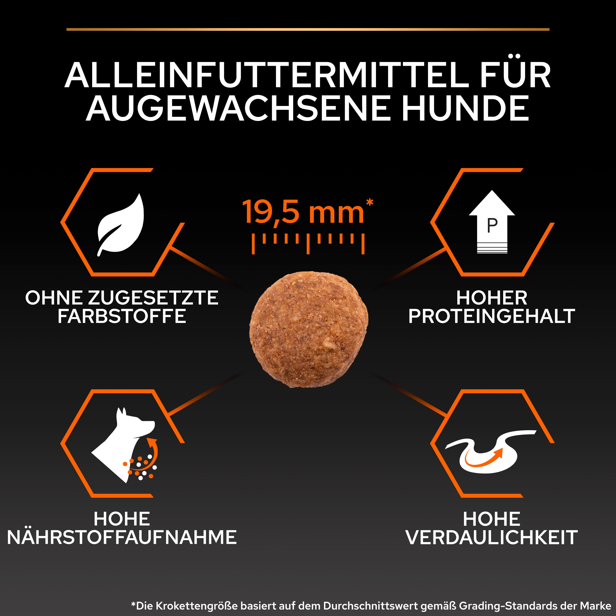 B00Y9SSX4Y.PT04 Large Robust Trockenfutter (Adult) Größe ca. 19,5mm