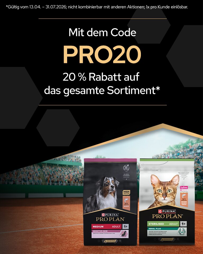 ATP-Smash-hero-mobile-2_(1)