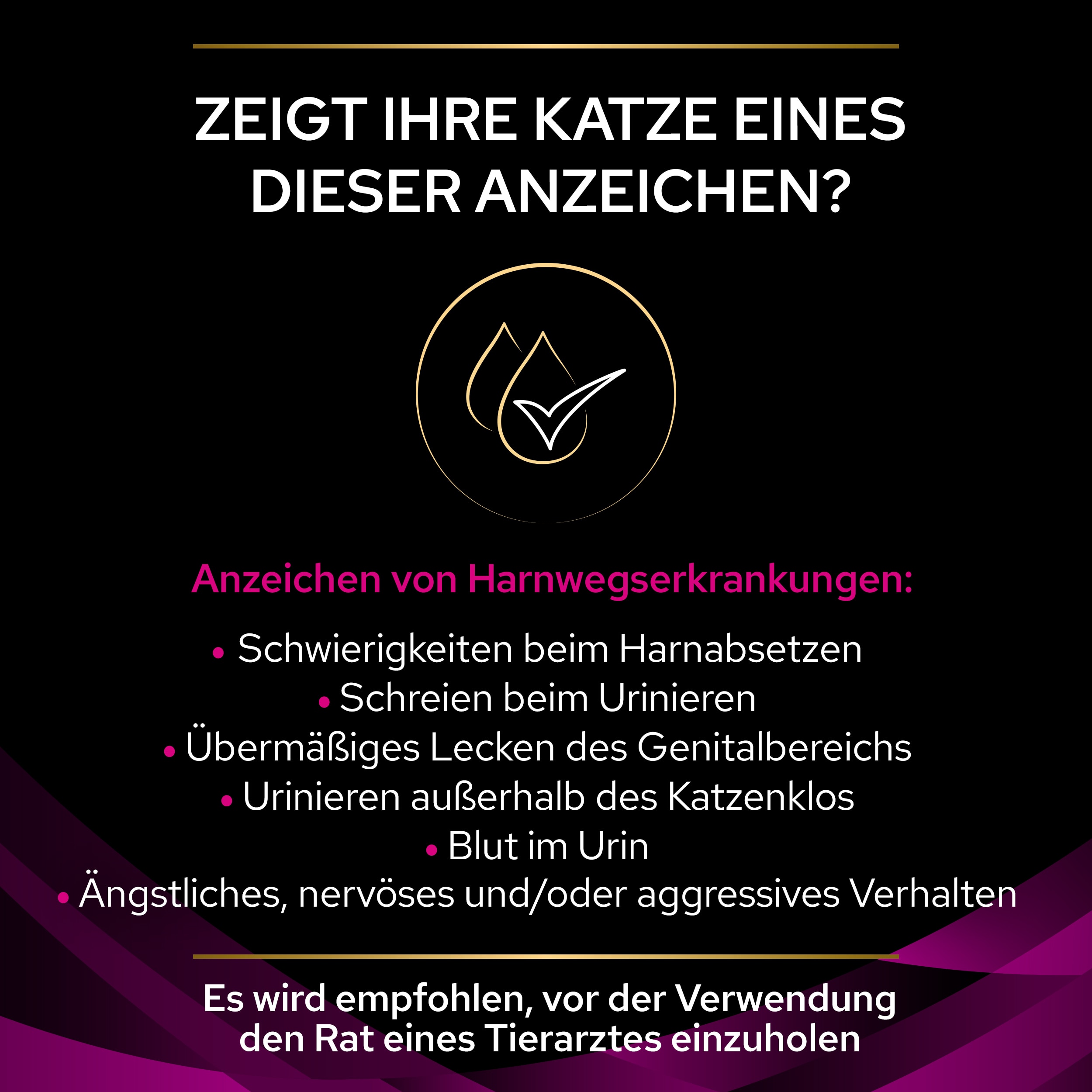 PUPPVDDCPPVUR22D1LDE_1665109513646 Symptome für Probleme im Harntrakt bei Katzen