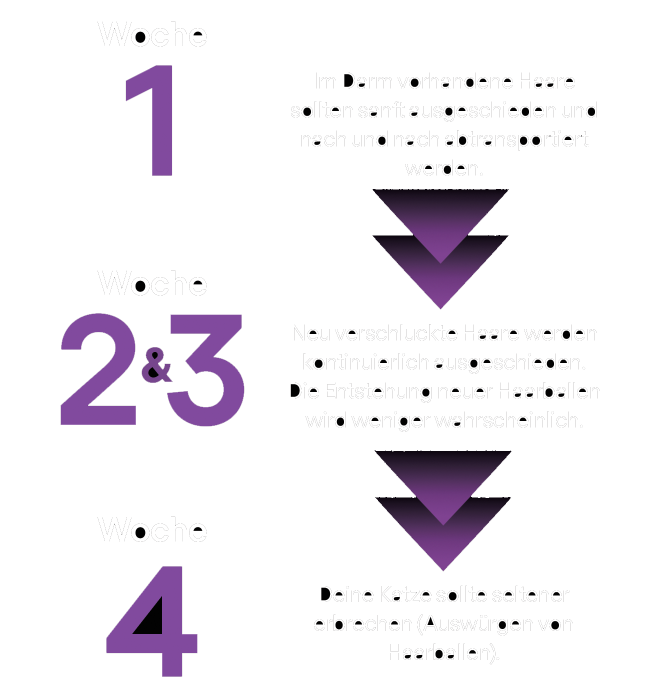 Wochenplan_Desktop_fixed