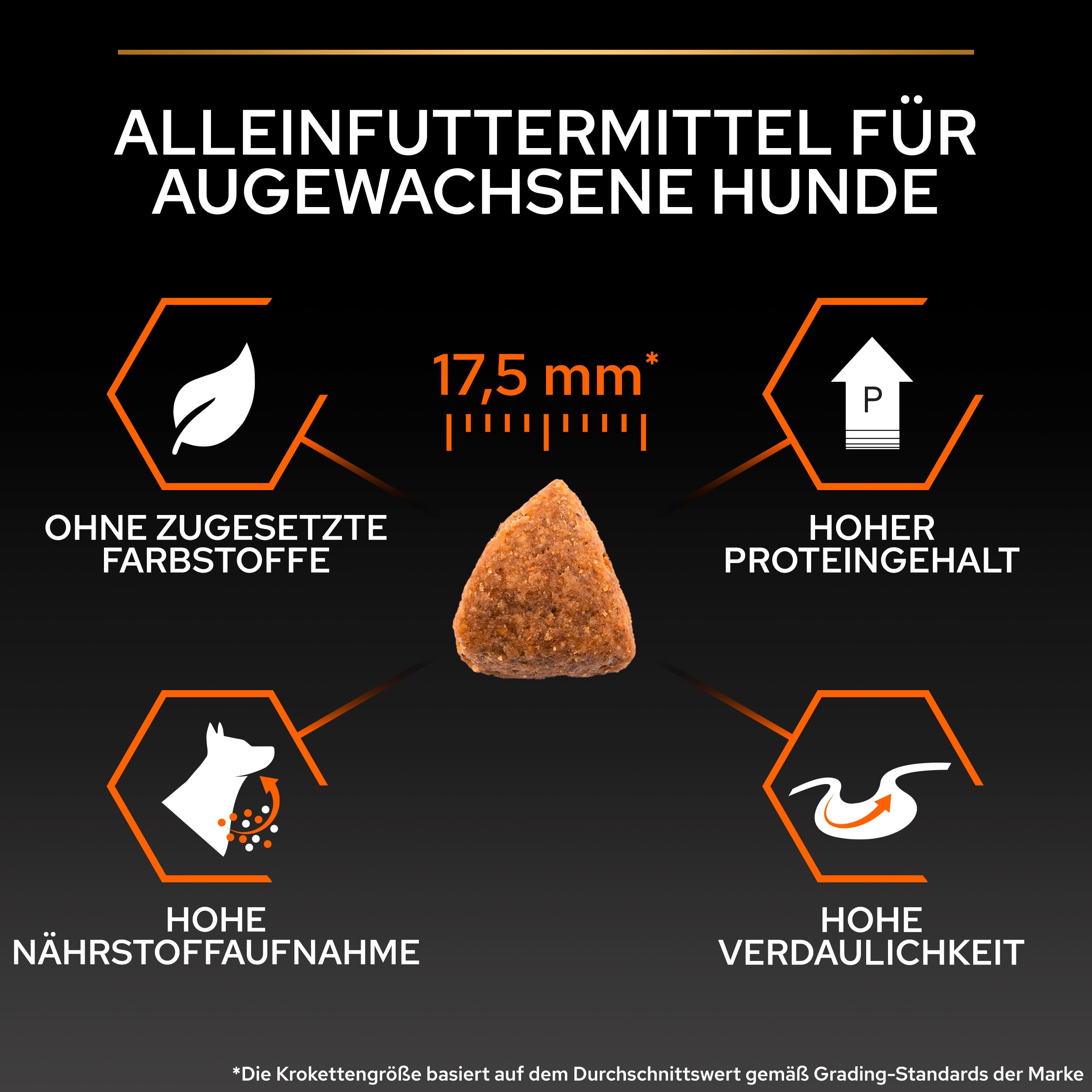 B00Y9SSI1W.pt04 Medium Everyday Nutrition für Hunde (Größe ca. 17,5mm)