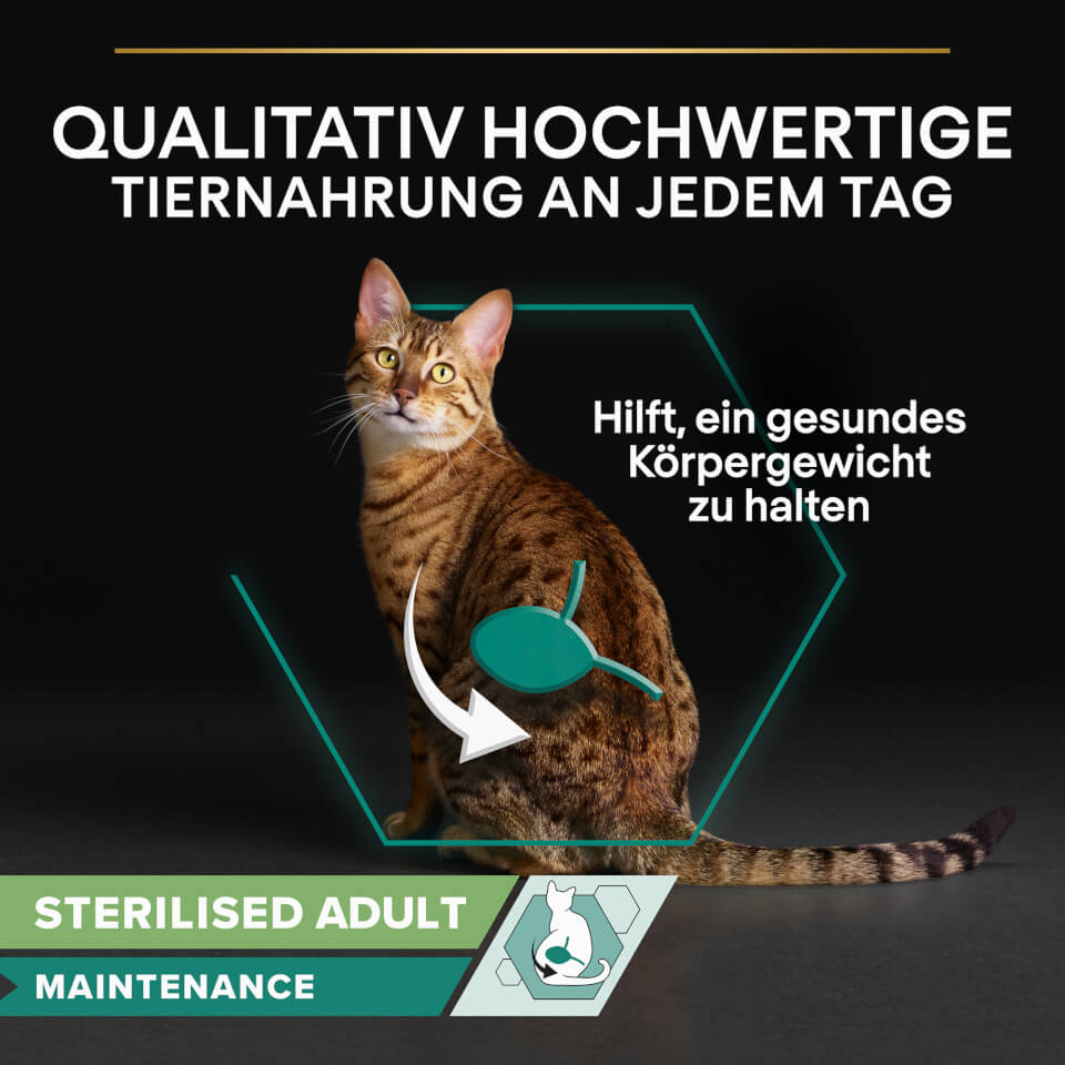 14303769-1715072905888749 Sterilised Nassfutter Rind - Hochwertige Tiernahrung